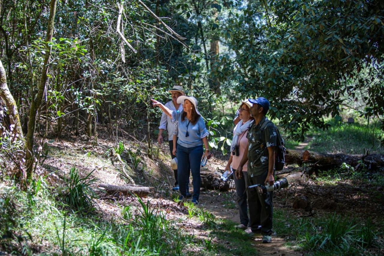 Vila Firsmead Nuwara Eliya Exteriér fotografie